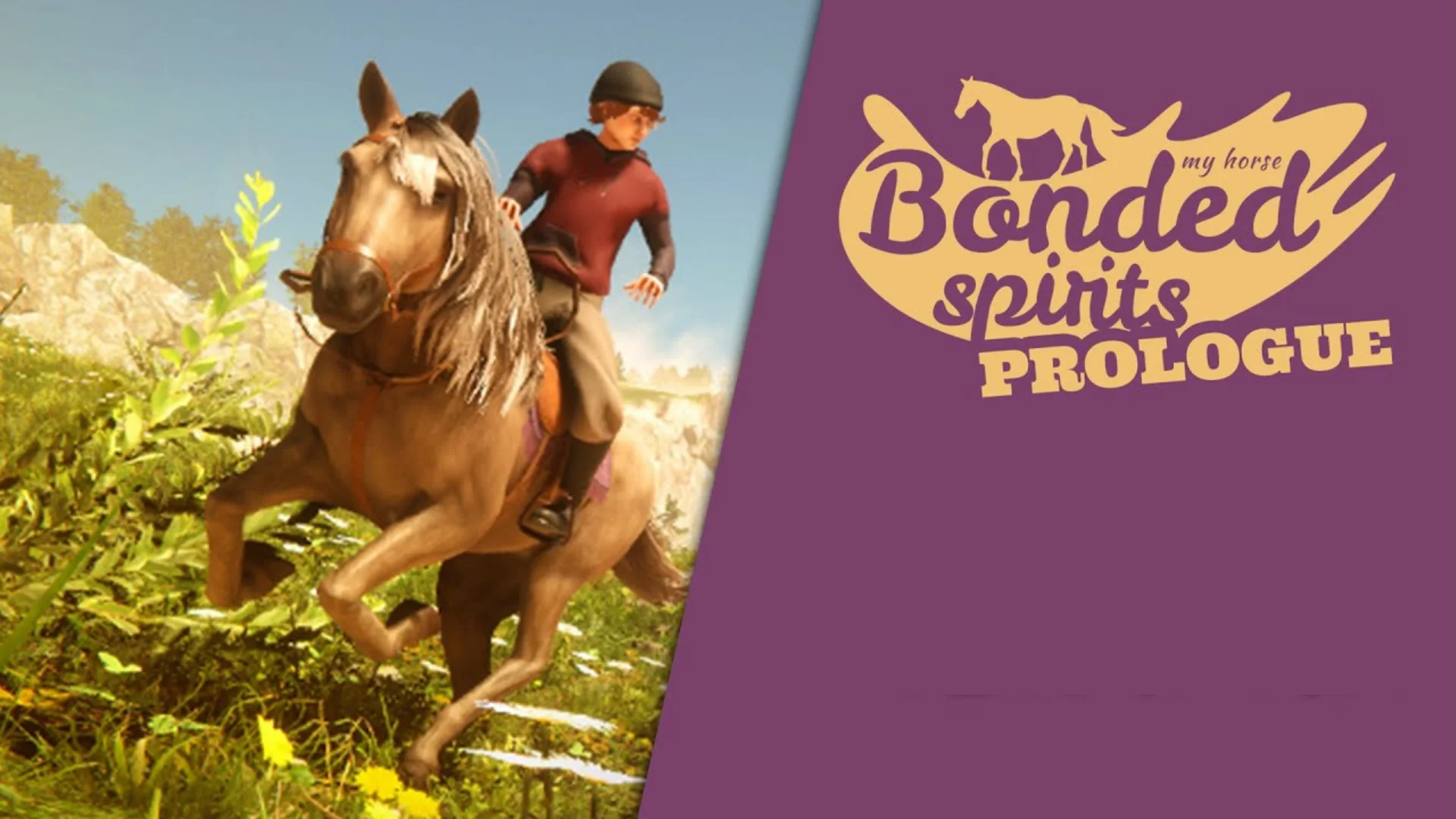 MY HORSE BONDED SPIRITS