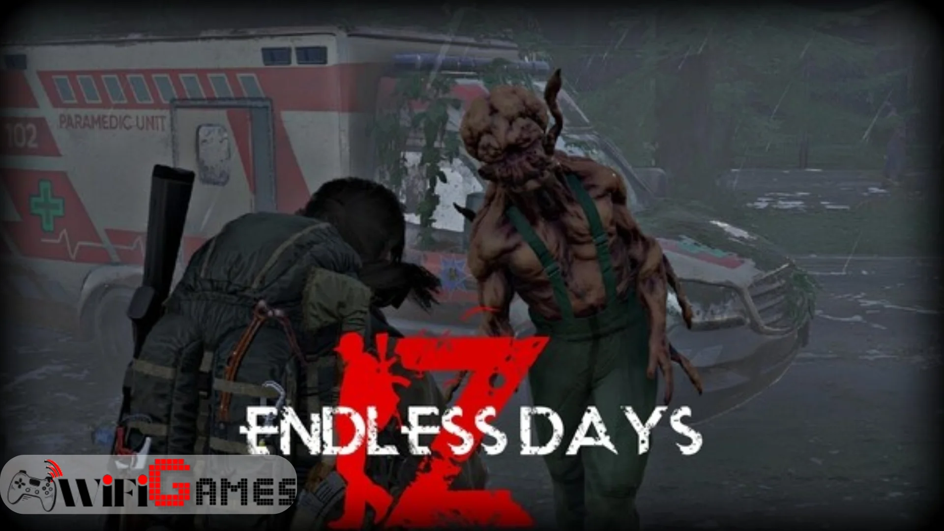 ENDLESS DAYS Z