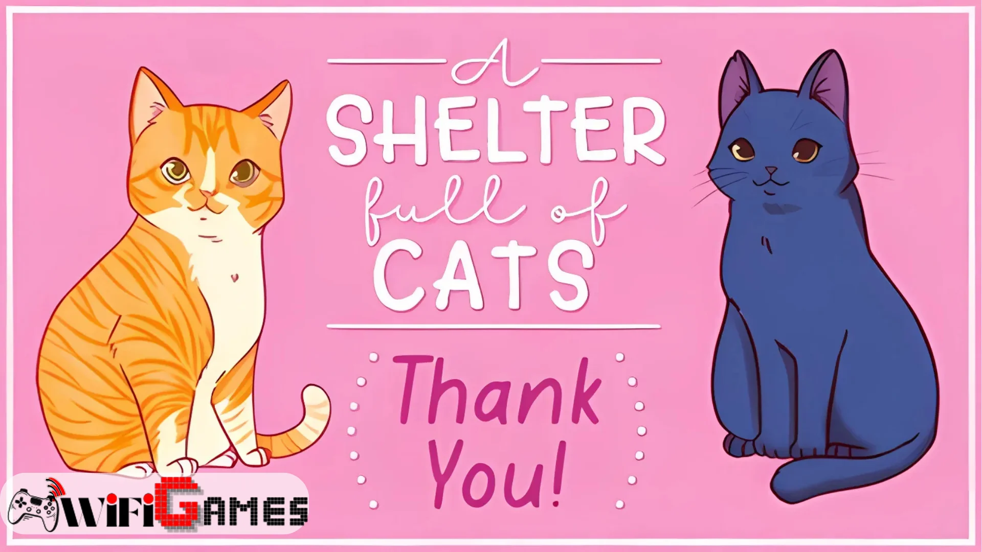 A Shelter Full of Cats