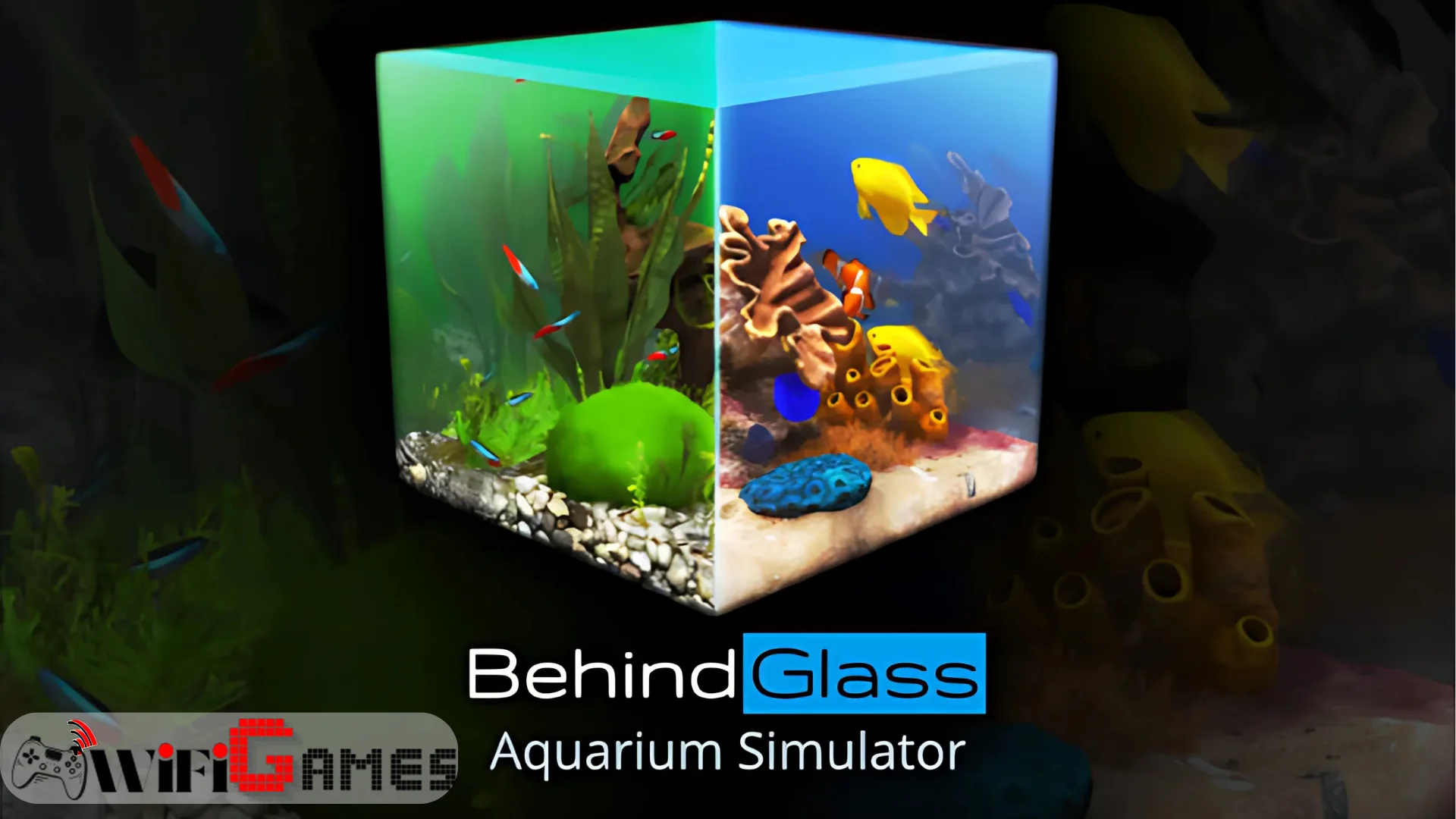 Behind Glass Aquarium Simulator