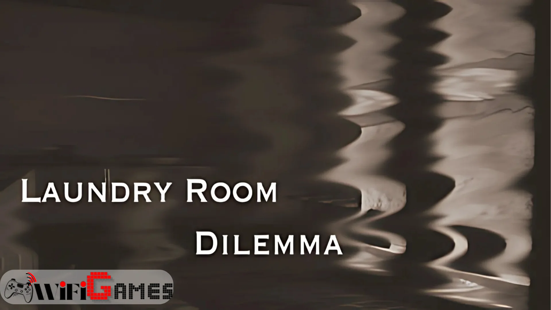 Laundry Room Dilemma