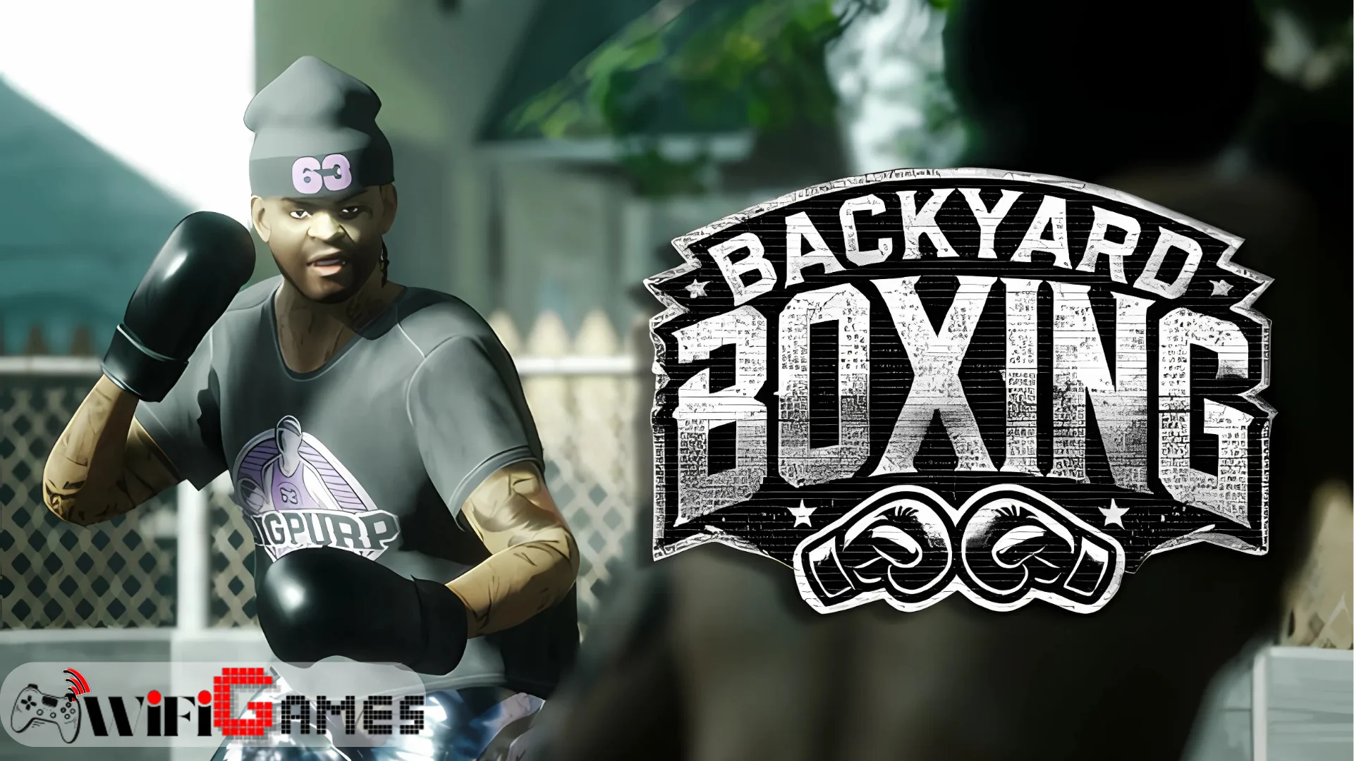 Backyard Boxing